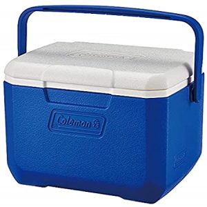 Cooler Box 5Litres